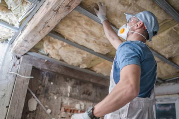 Best Blown-in Insulation in Horn Lake, MS