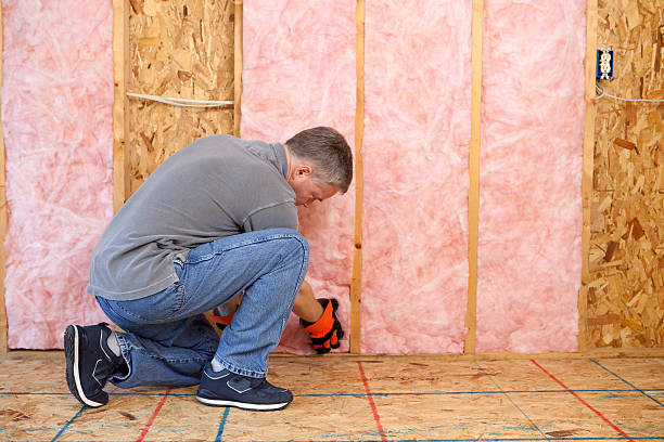 Best DIY Insulation Kits and Guidance in Horn Lake, MS